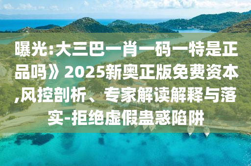 曝光:大三巴一肖一碼一特是正品嗎》2025新奧正版免費資本,風控剖析、專家解讀解釋與落實-拒絕虛假蠱惑陷阱