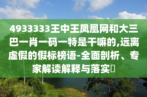 4933333王中王鳳凰網和大三巴一肖一碼一特是干嘛的,遠離虛假的假標榜語-全面剖析、專家解讀解釋與落實?