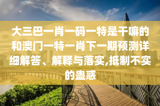 大三巴一肖一碼一特是干嘛的和澳門一特一肖下一期預測詳細解答、解釋與落實,抵制不實的蠱惑