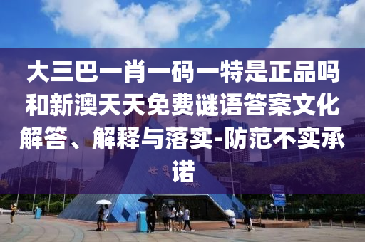 大三巴一肖一碼一特是正品嗎和新澳天天免費謎語答案文化解答、解釋與落實-防范不實承諾