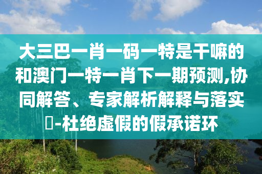 大三巴一肖一碼一特是干嘛的和澳門一特一肖下一期預測,協同解答、專家解析解釋與落實?-杜絕虛假的假承諾環