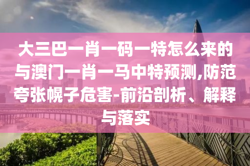 大三巴一肖一碼一特怎么來的與澳門一肖一馬中特預測,防范夸張幌子危害-前沿剖析、解釋與落實
