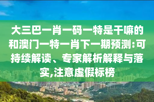 大三巴一肖一碼一特是干嘛的和澳門一特一肖下一期預測:可持續解讀、專家解析解釋與落實,注意虛假標榜
