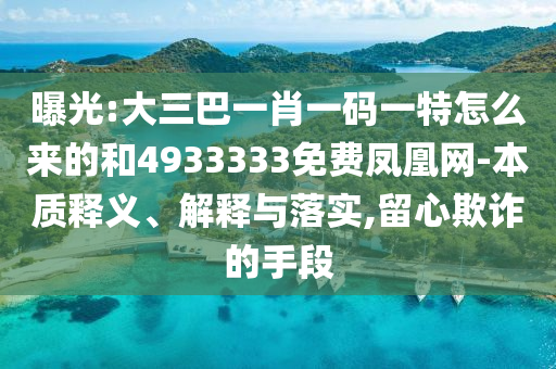 曝光:大三巴一肖一碼一特怎么來的和4933333免費鳳凰網(wǎng)-本質(zhì)釋義、解釋與落實,留心欺詐的手段