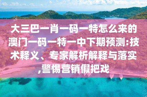 大三巴一肖一碼一特怎么來的澳門一碼一特一中下期預測:技術釋義、專家解析解釋與落實,警惕營銷假把戲